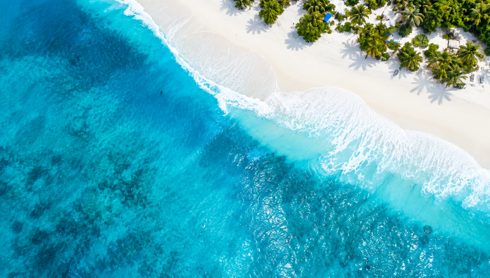 Aerial view of turquoise Maldives lagoon meeting a white sand beach lined with palms